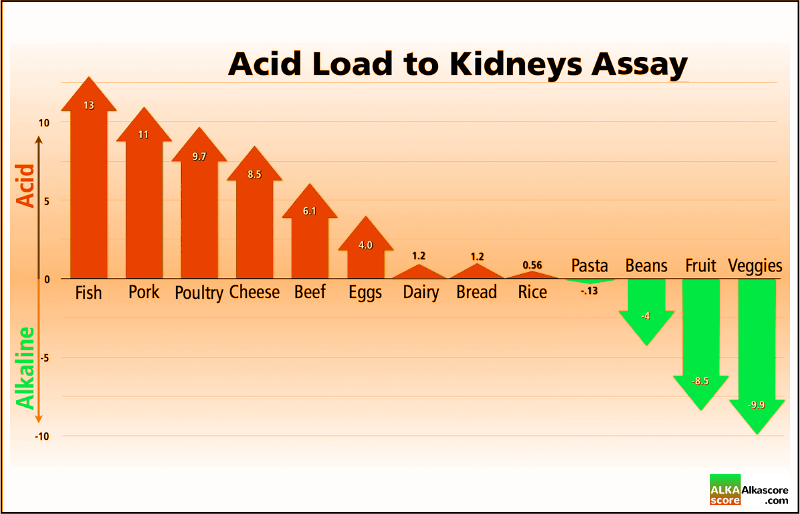 Acid Load to Kidneys Assay Chart