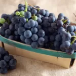 Acid-Alkaline Grapes PRAL List