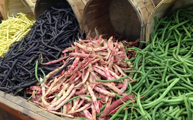 Colored Alkaline String Beans