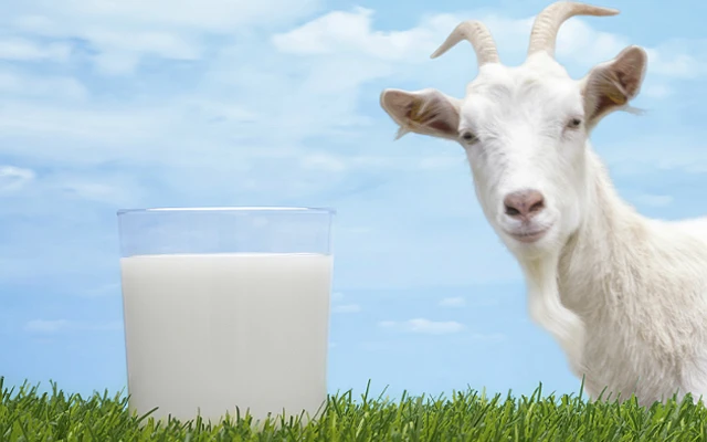Alkaline Goat Milk