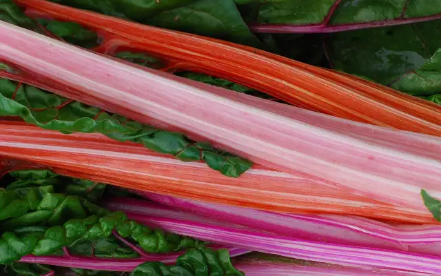 Fresh Raw Alkaline Rhubarb