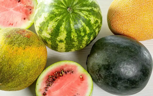 Fresh Ripe Alkaline Melons
